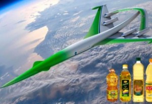 Самолет впервые в мире совершил коммерческий рейс на топливе из подсолнечного масла