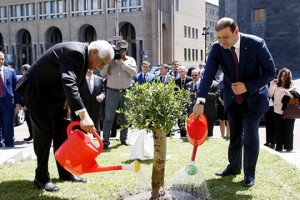 Мэры Еревана и Аммана в армянской столице посадили оливковое дерево с берегов Иордана