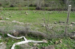 В Анкаре оскверняются могилы армян