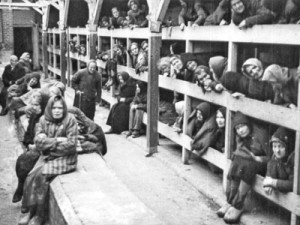Гитлер взял примером для Холокоста Геноцид армян: Кит Дэвис