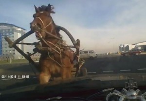 Машина врезалась в лошадь: Погиб пассажир