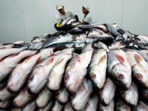 Замминистра: Экспорт рыбы из Армении в 2014 г вырос на 2,3%