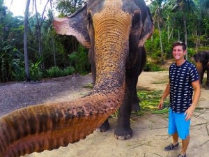 В Таиланде слон сделал селфи