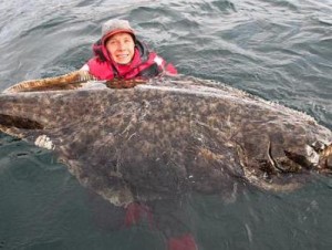 Рыбак прыгнул в воду, чтобы сделать фото со 100-килограммовым палтусом