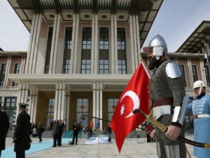 Эрдоган рассказал о вреде тараканов для имиджа Турции