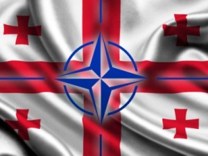 Гия Нодия: В Грузии уже сомневаются в возможности присоединения страны к НАТО