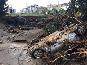 Десять человек погибли при наводнении в Тбилиси