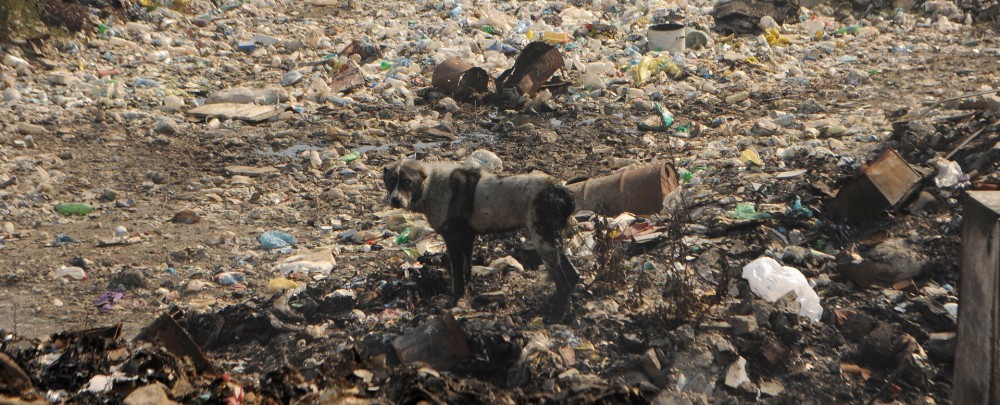 Тавушская область Армении превращается в мусорную свалку (Фото,видео)