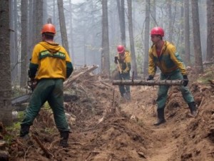 Площадь лесных пожаров в Бурятии превысила 150 тысяч га
