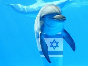 В ХАМАС заявили о поимке израильского дельфина-шпиона