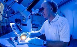 Ученые из клиники Мейо научились «отключать» рак