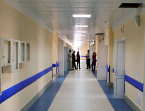 Диагноз «сибирская язва» подтвердился у двух пациентов инфекционной больницы в Ереване