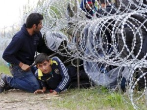 Полиция Венгрии задержала более 9 тысяч мигрантов на границе с Сербией