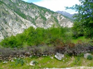 Таджикские силовики ведут поиск террористов в ущелье Рамит