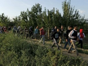 Хорватия отказалась принимать беженцев: они вновь направились в Венгрию