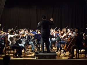 Государственный молодежный оркестр Армении выступил с концертами на знаменитых сценах Австрии