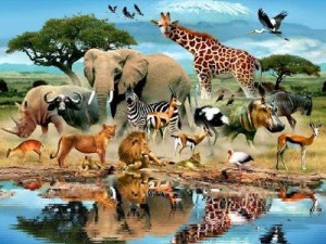4 октября- Всемирный день животных