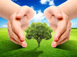 В школах Армении будут изучать экологию