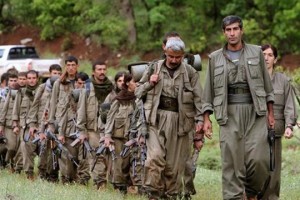 Россия подтвердила оказание военно-технической помощи иракским курдам