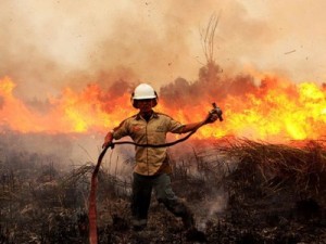 В Индонезии развернута крупнейшая операция по тушению лесных пожаров