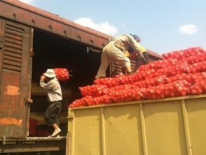 В Армении построят пункт пограничной дезинфекции вагонов с сельхозпродукцией