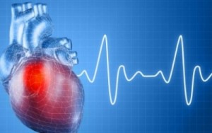 Растворяющийся стент для артерий сердца успешно прошел первые испытания