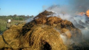 В Ширакской области сгорело свыше 300 стогов корма