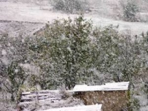 В некоторых регионах Армении идет снег