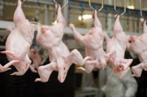 Армения сняла запрет на ввоз мяса птицы из трех штатов США