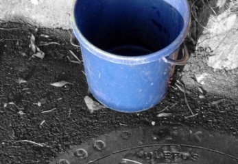 На депутата вылили ведро фекалий