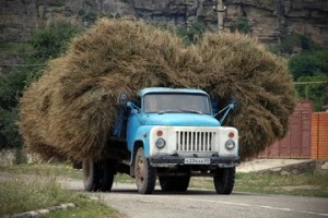 Россия начала экспортировать сено в Северную Корею