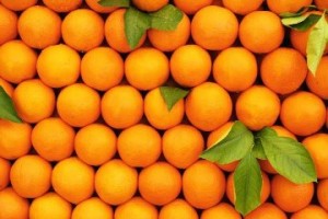 Сирия поставит в Россию сотни тысяч тонн апельсинов