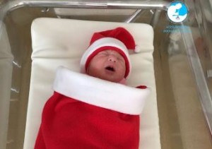 В Ереване в 2015 году зафиксирован рост рождаемости