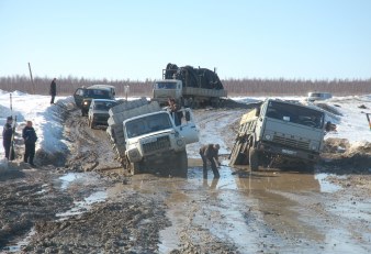 Росстат в рамках сельхозпереписи купил 105 дорогих иномарок
