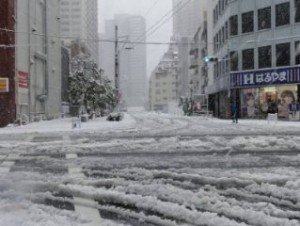 В Японии из-за снегопадов погибли пять человек