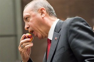 Кем себя возомнил Эрдоган?