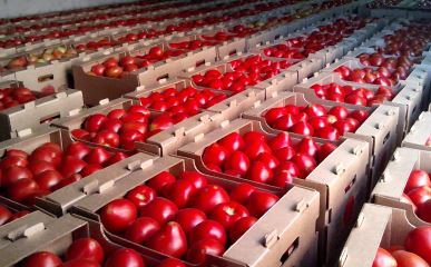 Армения выбывает из торговли между Ираном и РФ