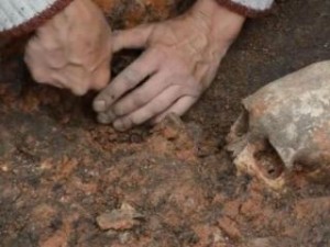 В ЮАР найдены кости людей возрастом более 2 миллионов лет