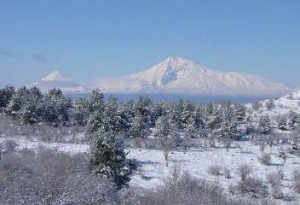 Теплая погода установится в Армении к концу зимы - синоптики