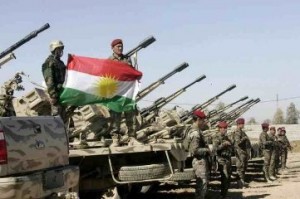 Курдские ополченцы ликвидировали еще 8 турецких карателей