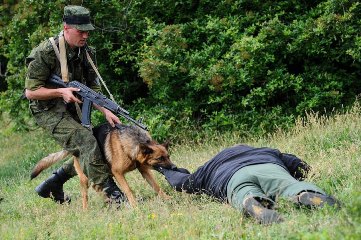 На армяно-иранской границе пресечена попытка незаконного пересечения