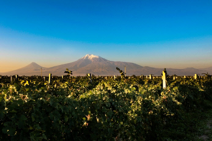 На родине вина: журнал Traveller составил винный гид по Армении
