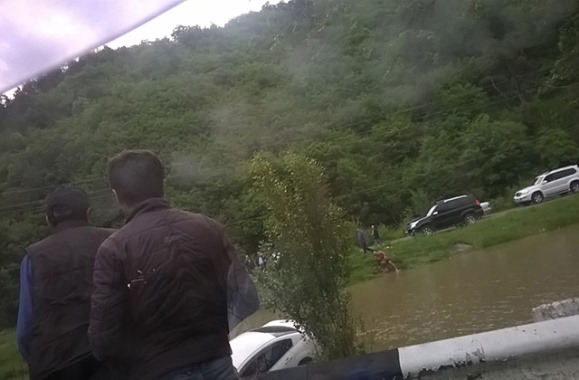 Заместитель прокурора Тавушской области заехала в озеро