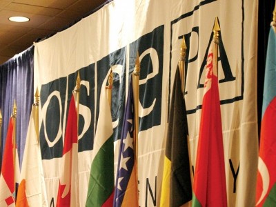 Председателем ПА ОБСЕ избрана австрийский парламентарий Кристин Мутоннен