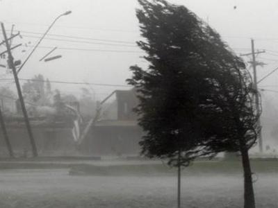 В Азербайджане ураганный ветер повалил деревья и столбы