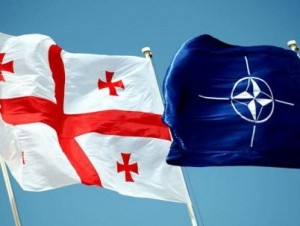 ЦИК Грузии отказала в проведении референдума по вступлению в НАТО