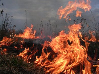 Пожар в парке «Аревик» не только не потушен, но еще больше распространился