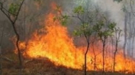 Пожар национального парка “Аревик” гасят 7 дней подряд