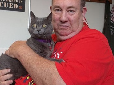 Кошка из Орегона нашлась спустя 11 лет после исчезновения