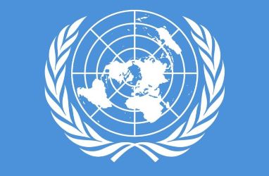 ООН: Применение силы в отношении осуществляющих свои профессиональные обязанности журналистов недопустимо